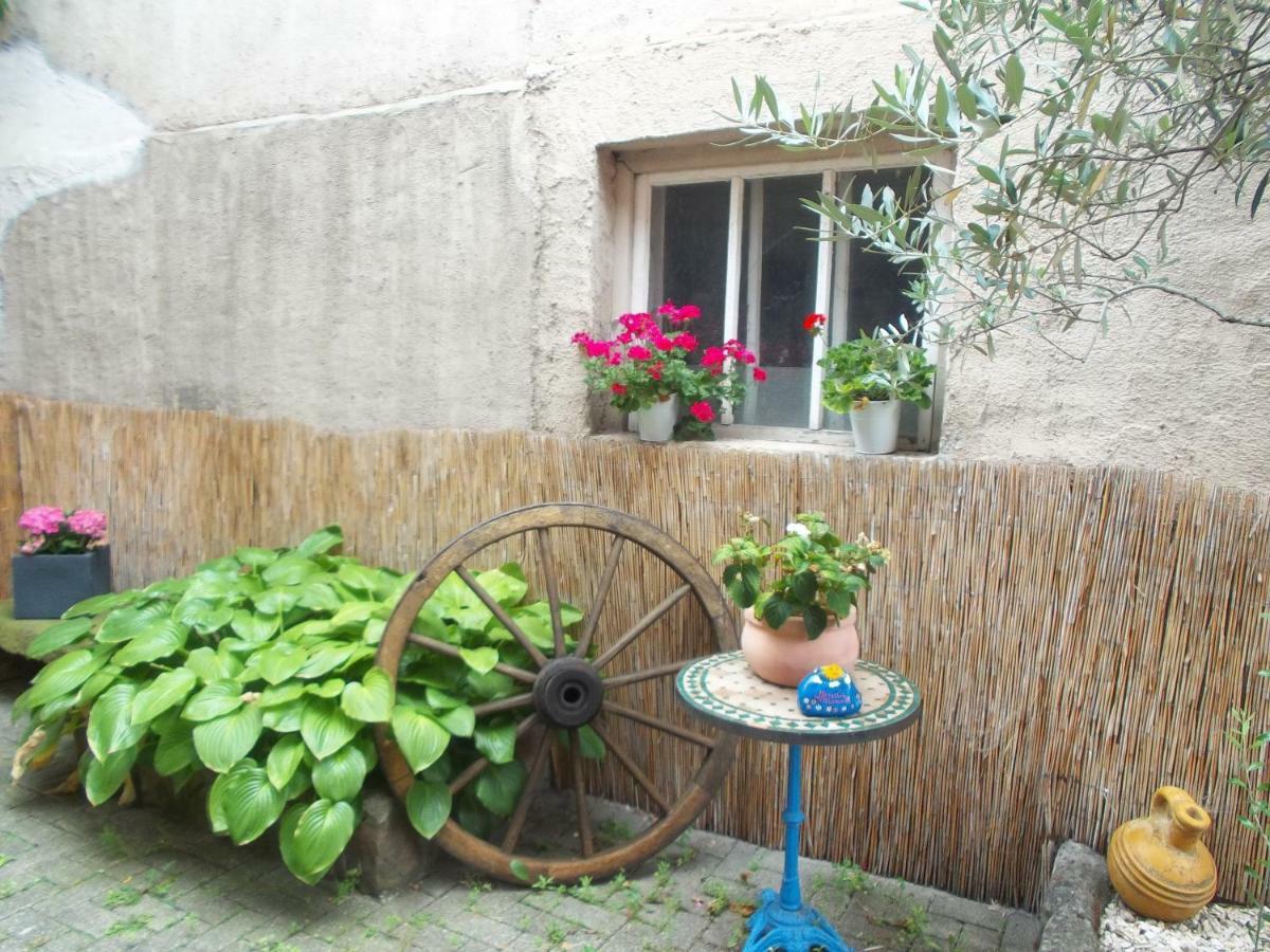 Ferienwohnungen Pension Aurora Kappel-Grafenhausen Dış mekan fotoğraf