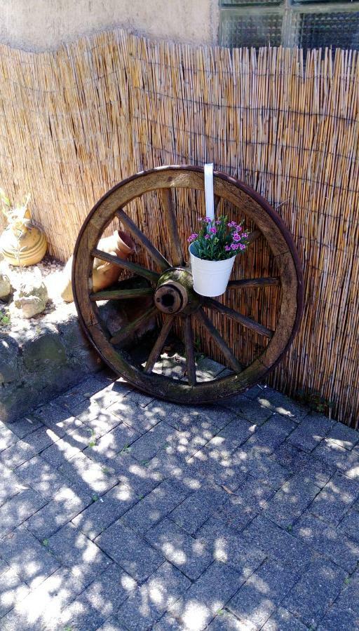 Ferienwohnungen Pension Aurora Kappel-Grafenhausen Dış mekan fotoğraf